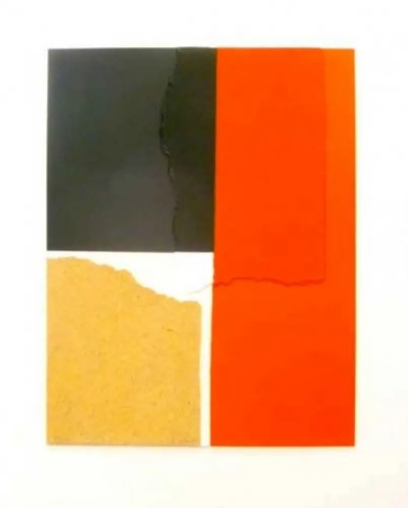 Сериграфия Canogar - Crisol