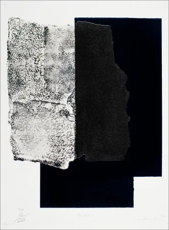 Сериграфия Canogar - Estrato