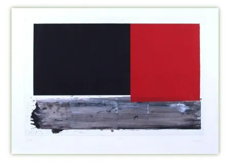 Гравюра Canogar - Lecho