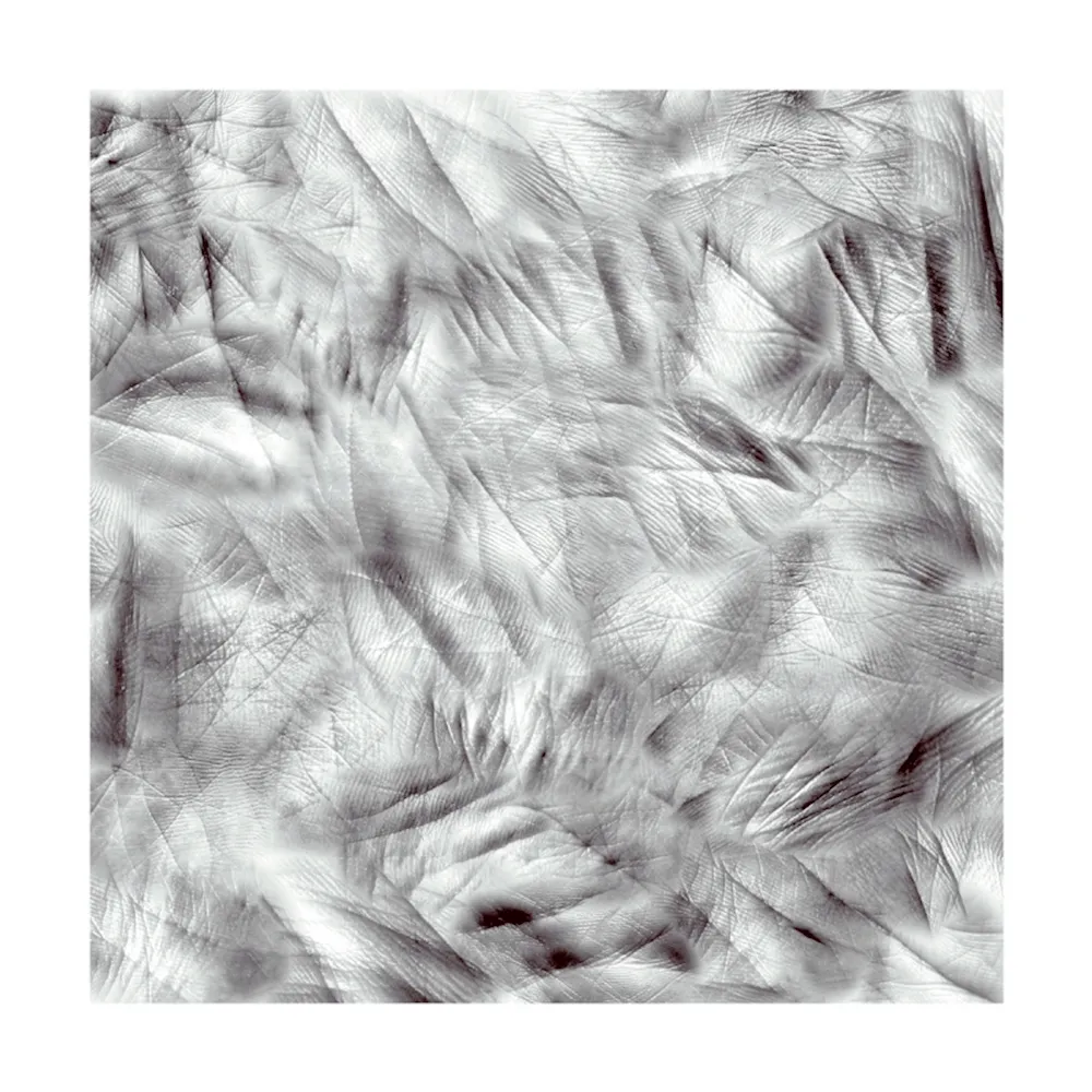 Фотографии Canogar - Life Lines