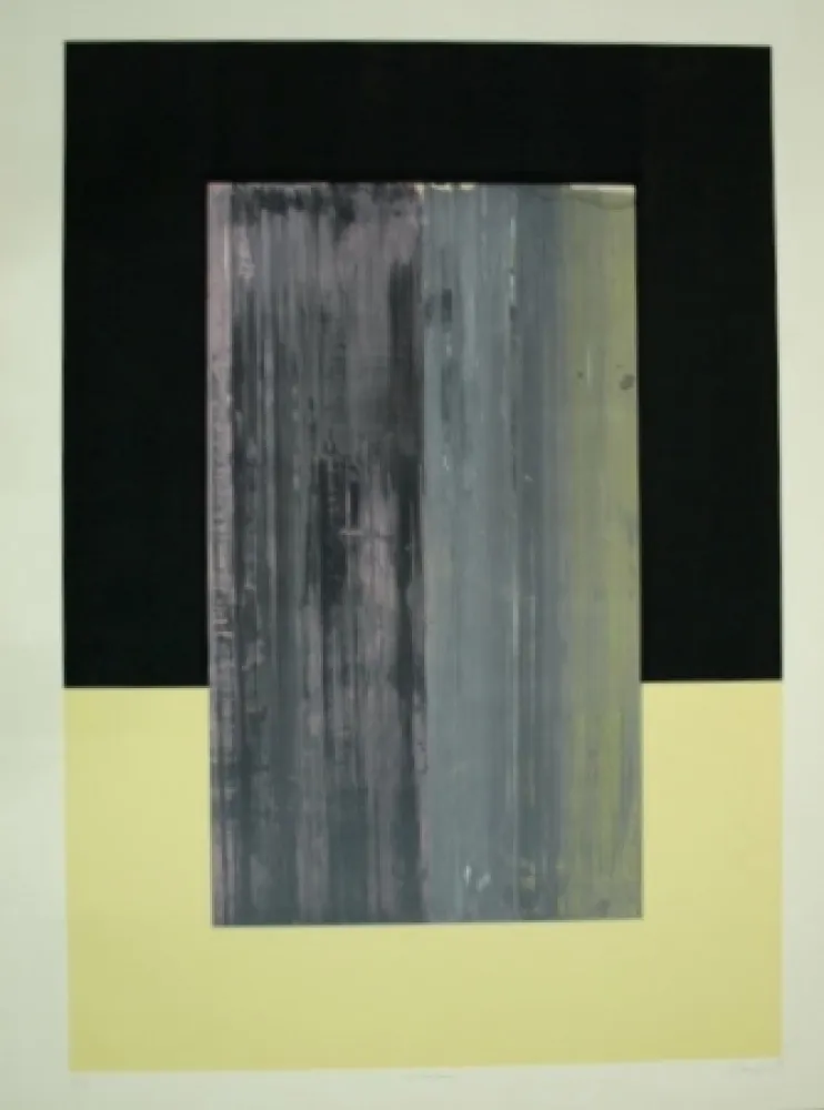 Сериграфия Canogar - NOSTROJENA