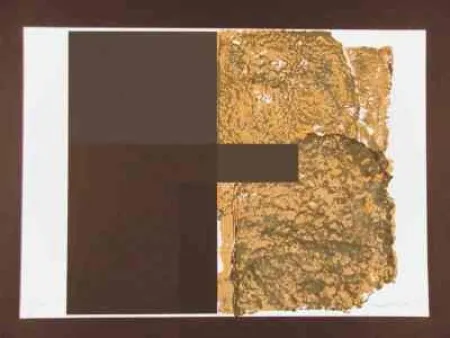 Сериграфия Canogar - Sans titre