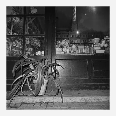 Фотографии Canovas - ACHING PLANTS - 1