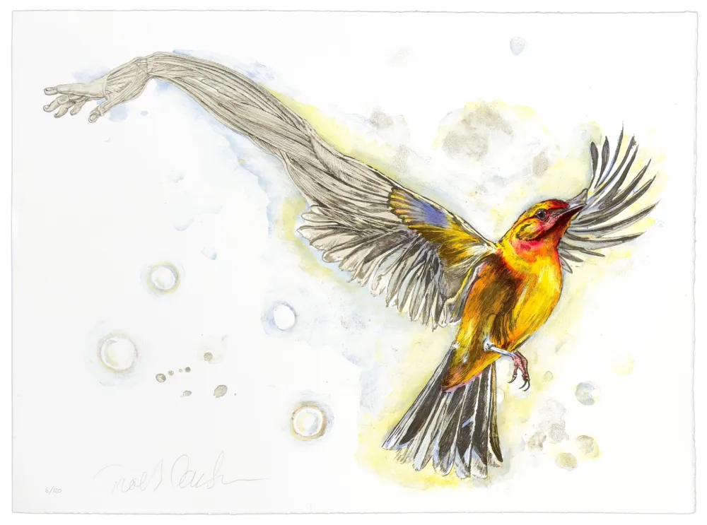 Литография Carlsen - Mediator #2