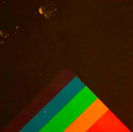 Сериграфия Carmi - SENZA TITOLO