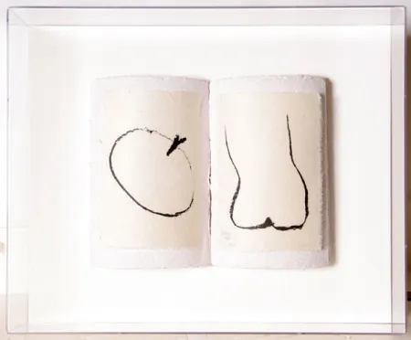 Многоэкземплярное Произведение Caro - Book of Eden