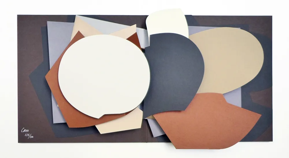 Многоэкземплярное Произведение Caro - Leaf Pool : 1996 - 2000