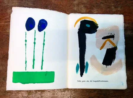 Иллюстрированная Книга Cascella - Il Magocostruttordivoli