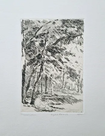 Офорт Castellani - Angolo di bosco