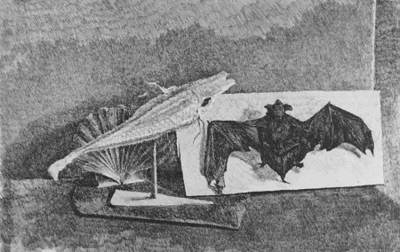 Офорт Castellani - Giravento e nottola