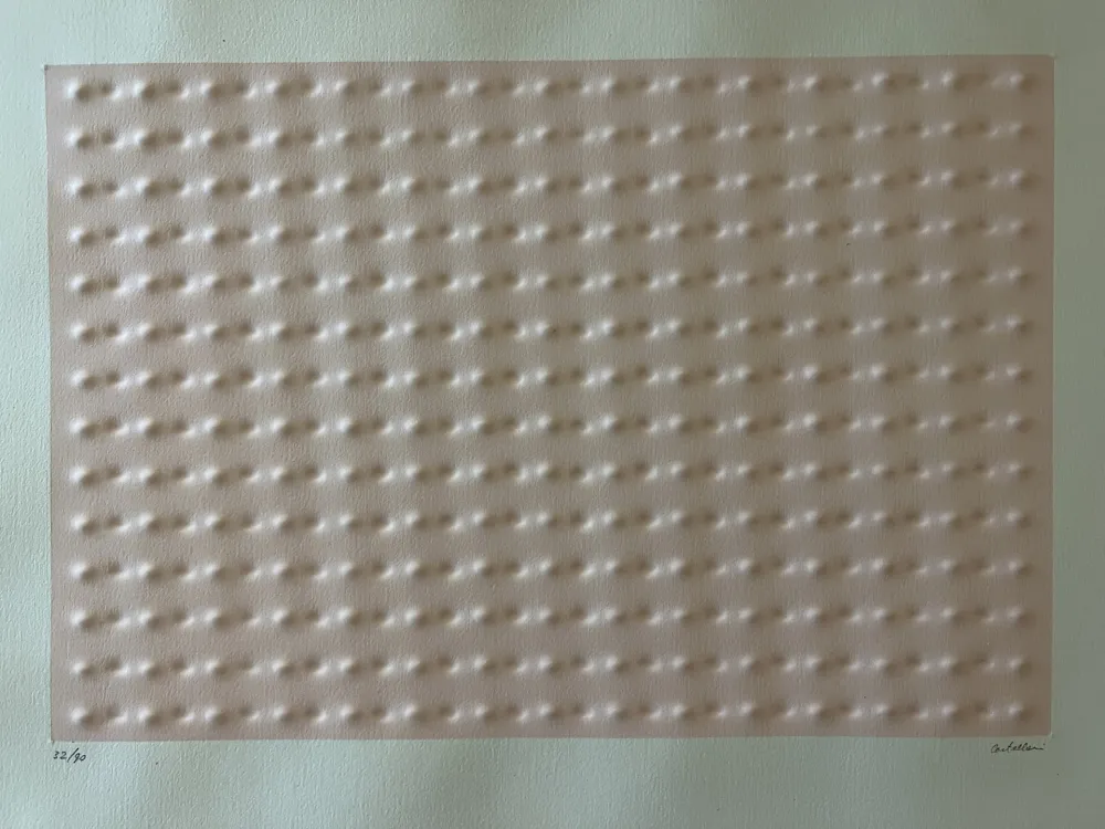 Многоэкземплярное Произведение Castellani - RILIEVO ROSA