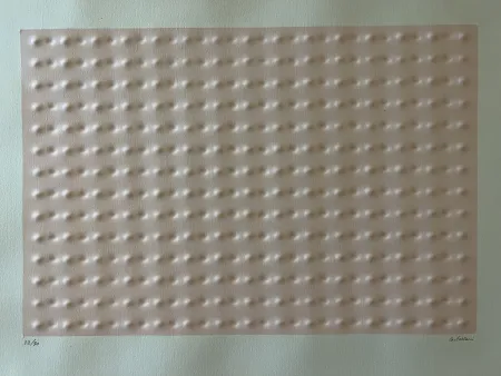 Многоэкземплярное Произведение Castellani - RILIEVO ROSA