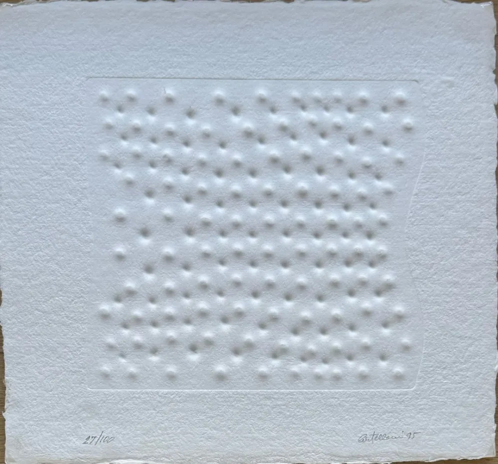 Многоэкземплярное Произведение Castellani - Superficie II