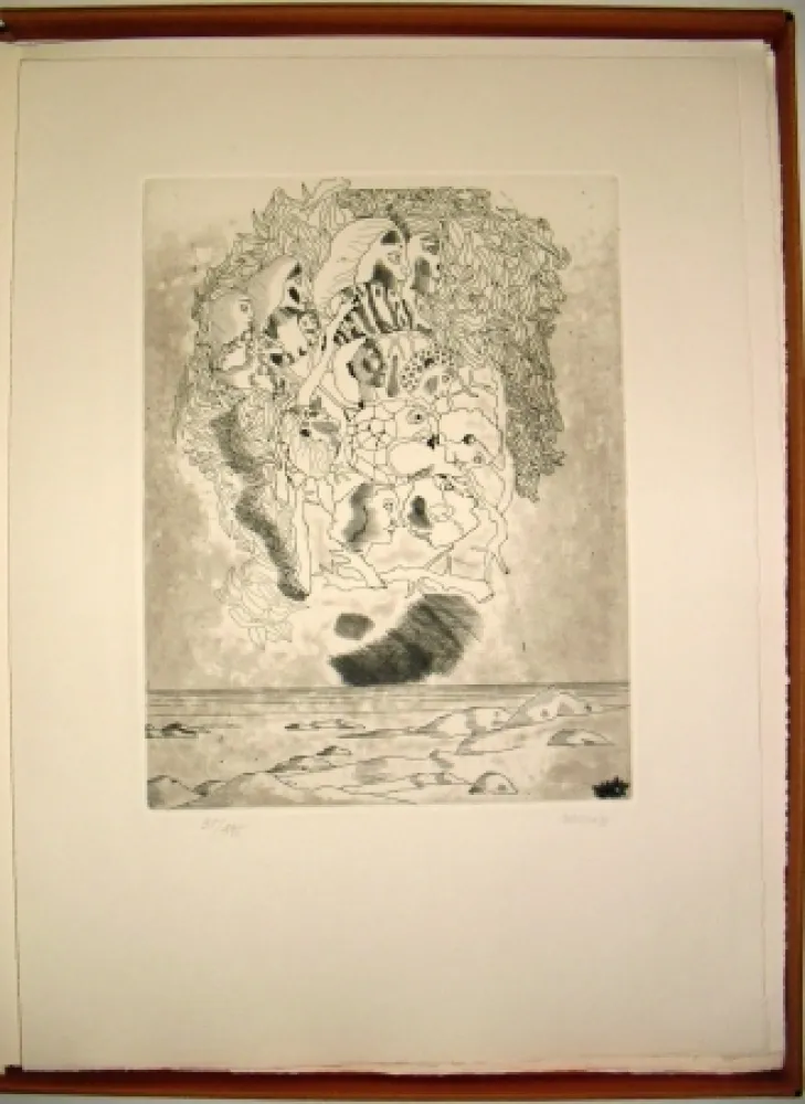 Иллюстрированная Книга Castillo - Canta a Sola Lisi