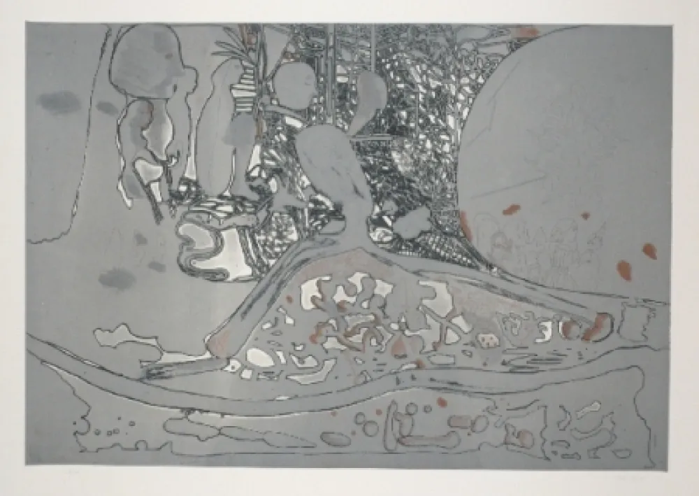 Офорт И Аквитанта Castillo - Jardin de invierno 2