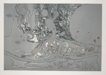 Офорт И Аквитанта Castillo - Jardin de invierno 2