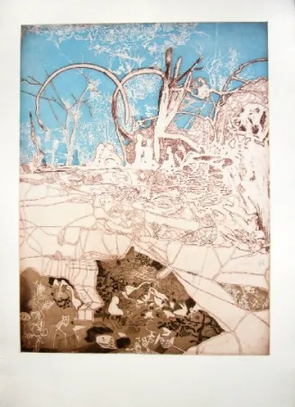 Офорт И Аквитанта Castillo - Tiergarten