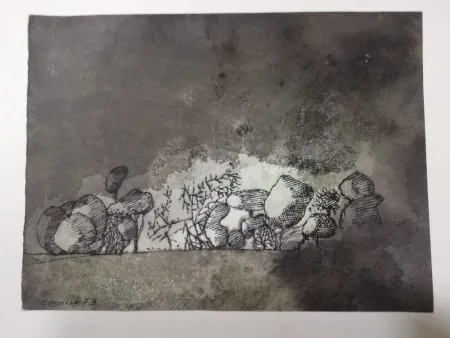 Нет Никаких Технических Castillo - Vista de Grünewald