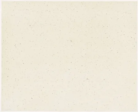 Многоэкземплярное Произведение Celmins - Night Sky 1 ( Reversed )