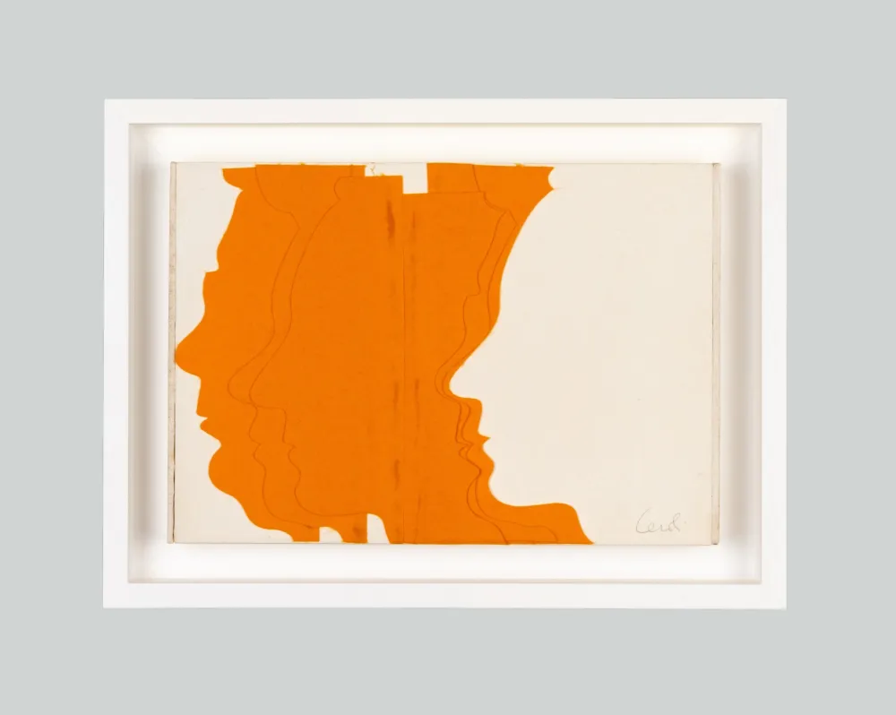 Многоэкземплярное Произведение Ceroli - I centocolori