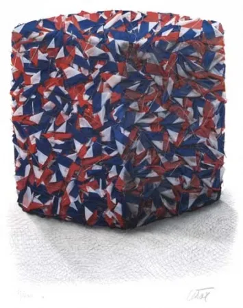 Сериграфия Cesar - Portrait comp. drapeaux Français