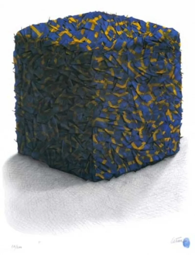 Сериграфия Cesar - Portrait comp. drapeaux Suédois