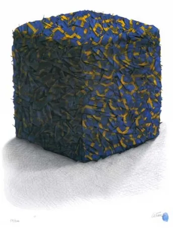 Сериграфия Cesar - Portrait comp. drapeaux Suédois