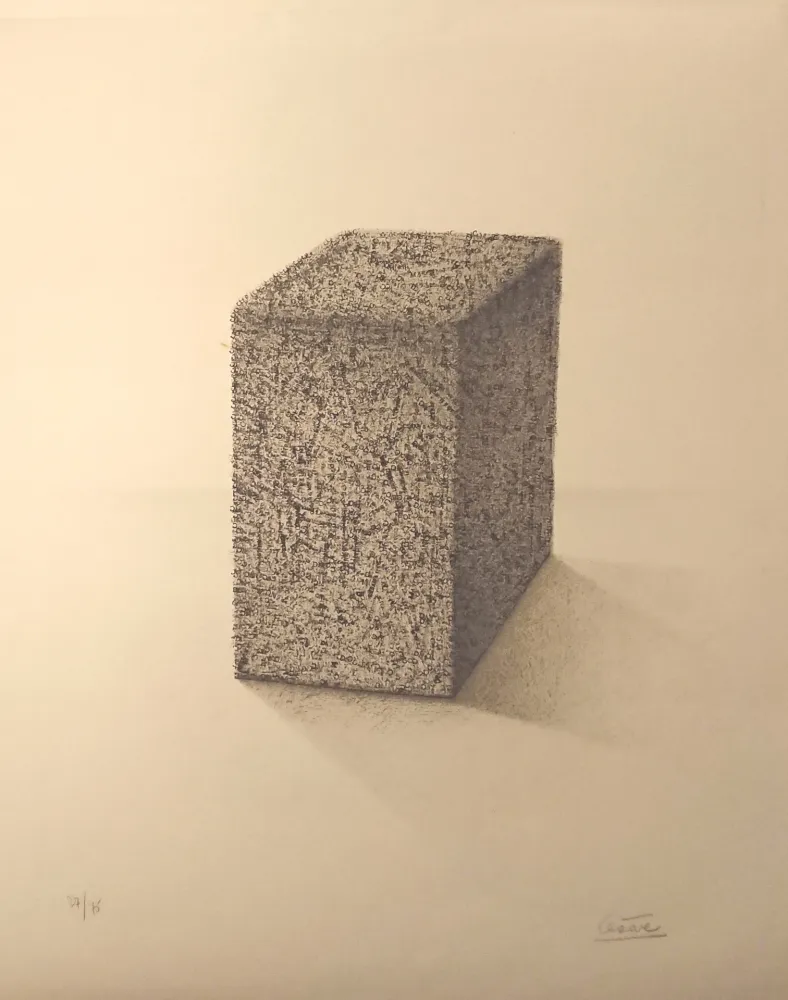 Литография Cesar - ' Portrait de Compression '