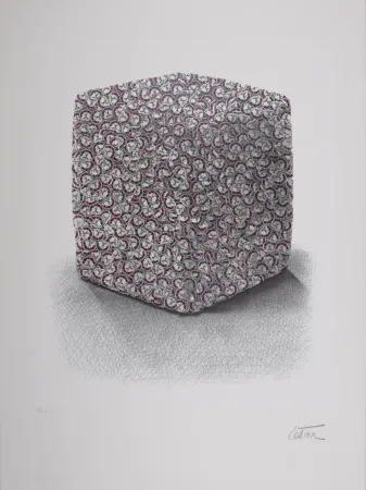 Сериграфия Cesar - Portrait de Compression, C. 1980-1985