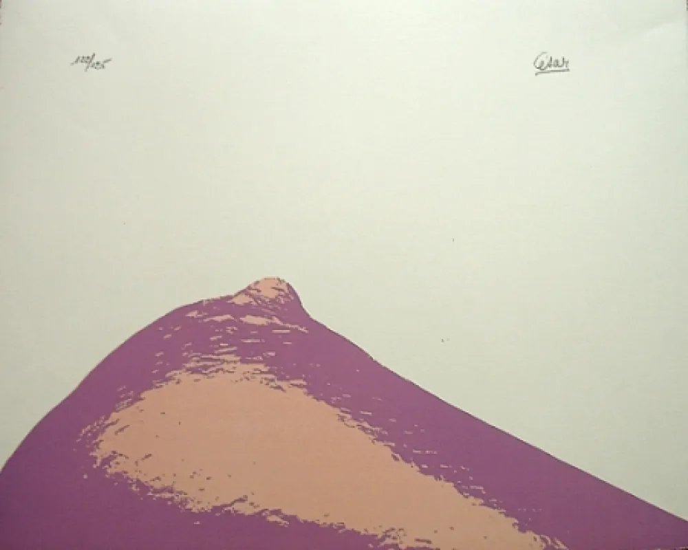 Литография Cesar - Senza titolo,