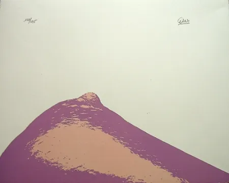 Литография Cesar - Senza titolo,