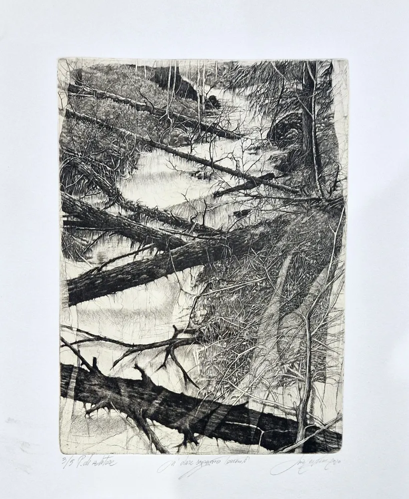 Офорт Ceschin - Là dove sgorgano torrenti