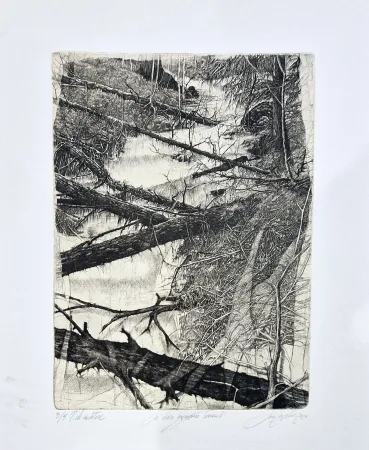 Офорт Ceschin - Là dove sgorgano torrenti