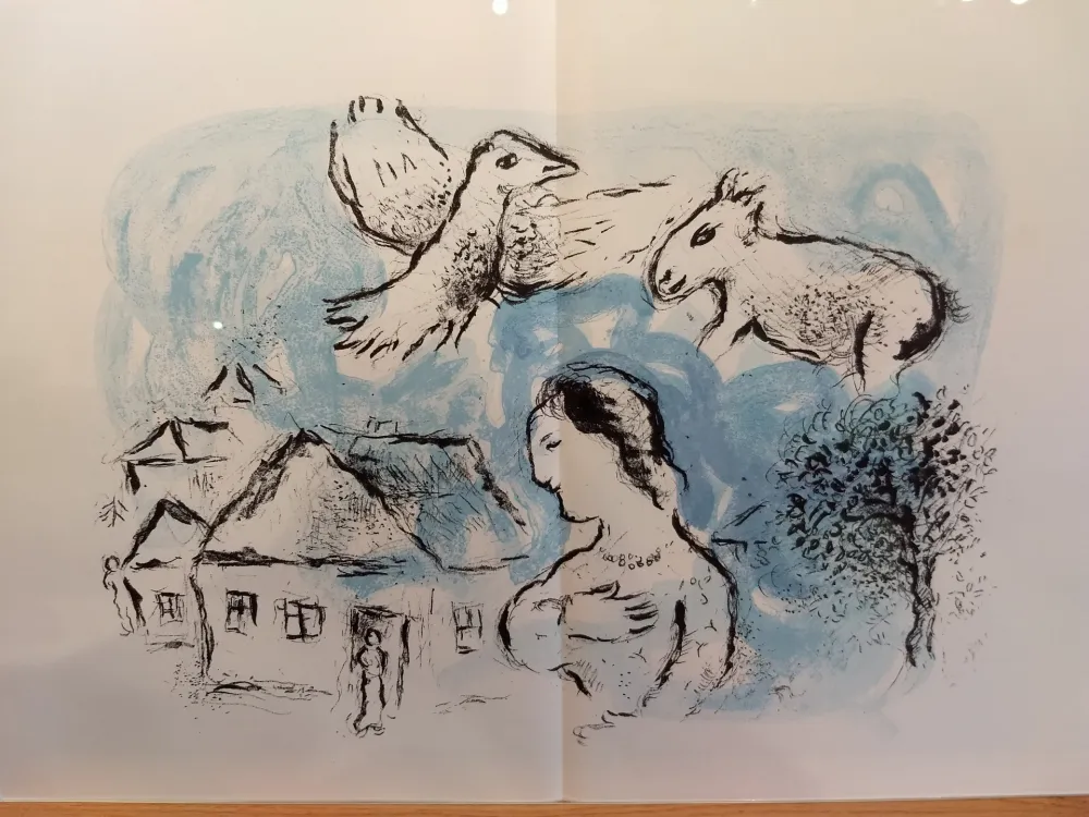 Иллюстрированная Книга Chagall - DLM 225