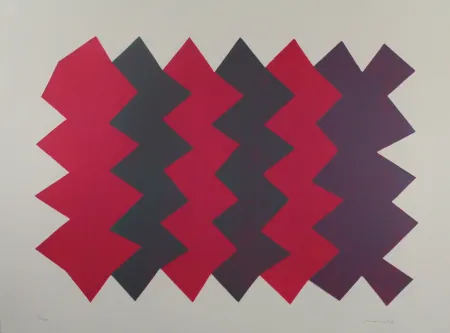 Акватинта Chancho - Montserrat 7