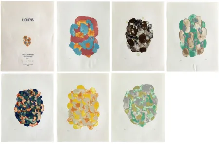 Литография Chaudouët - Lichens