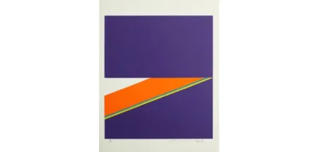 Многоэкземплярное Произведение Chin - Farbkomposition violet