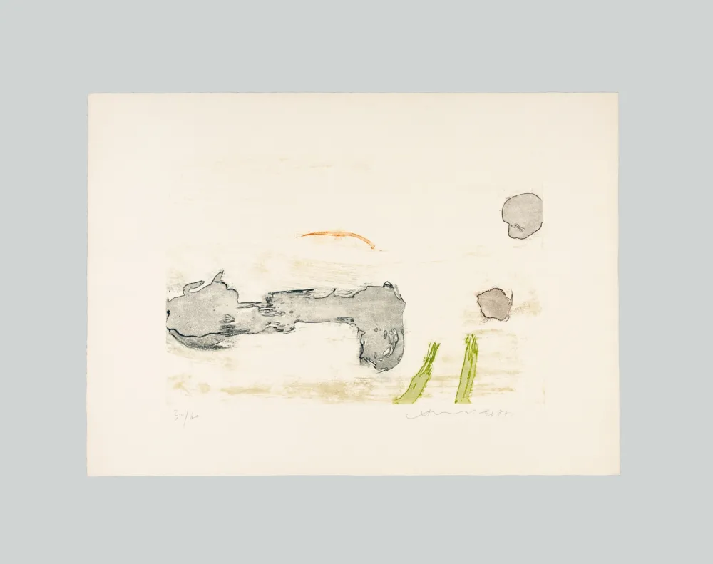 Офорт И Аквитанта Chin - Senza titolo