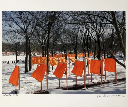 Фотографии Christo - The Gates IV