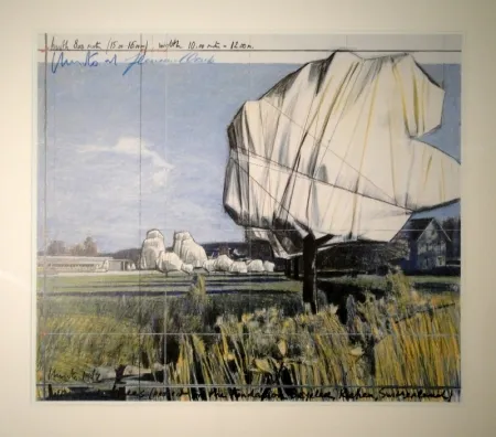 Гашение Christo - Wrapped Trees (Project for the Fondation Beyeler, Riehen, Switzerland)