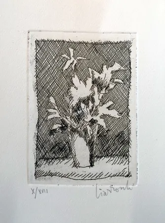 Офорт Ciarrocchi - Fiori