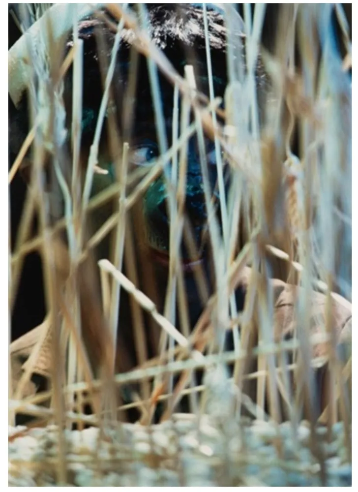 Фотографии Cindy - Untitled (from The Portfolio for Joseph Beuys)