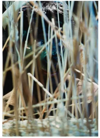 Фотографии Cindy - Untitled (from The Portfolio for Joseph Beuys)