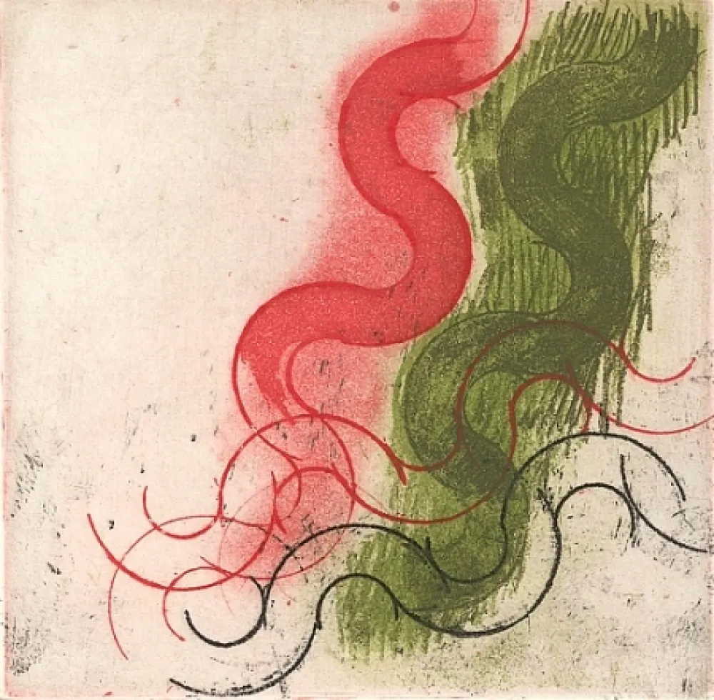 Иллюстрированная Книга Ciussi - Es - fragmenta