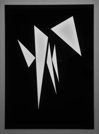 Многоэкземплярное Произведение Claisse - Rheita