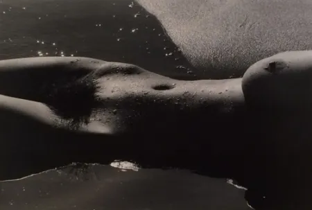 Фотографии Clergue - Nyu de la Mer Camargue