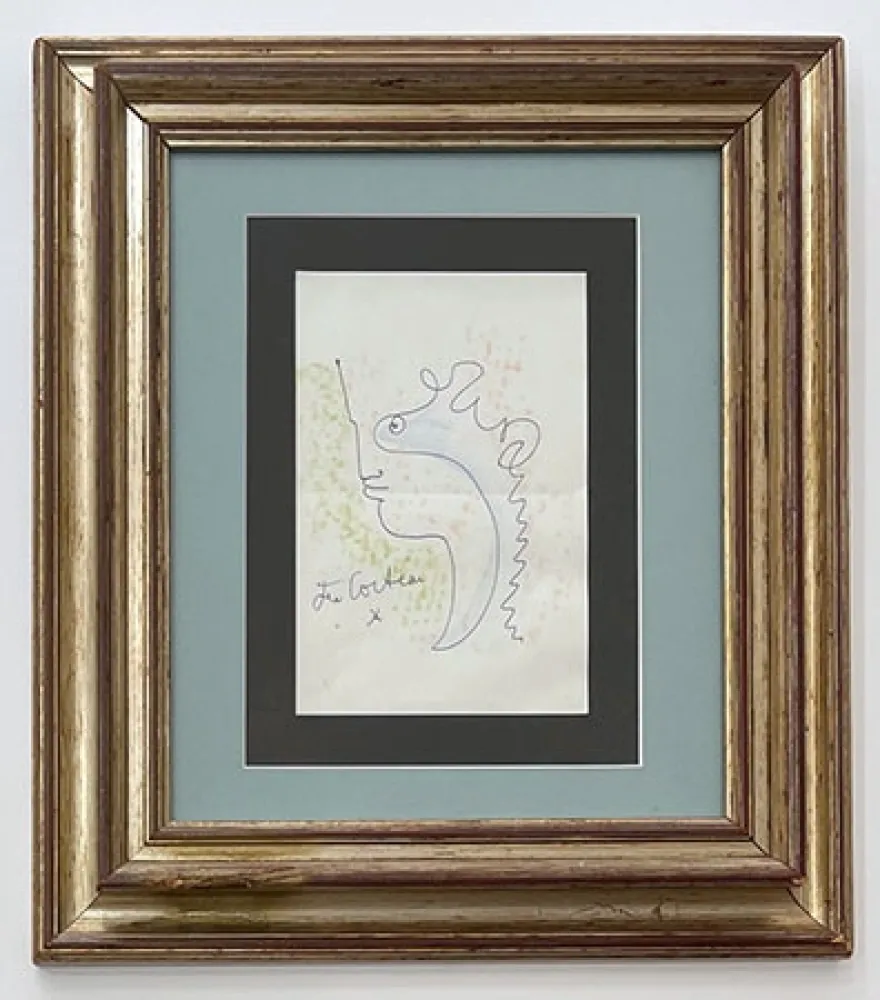 Нет Никаких Технических Cocteau - Profil aux courbes