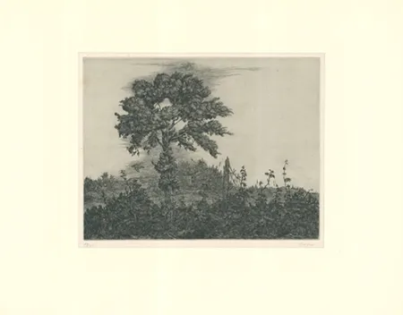 Гравюра Coester - Einzelner Baum