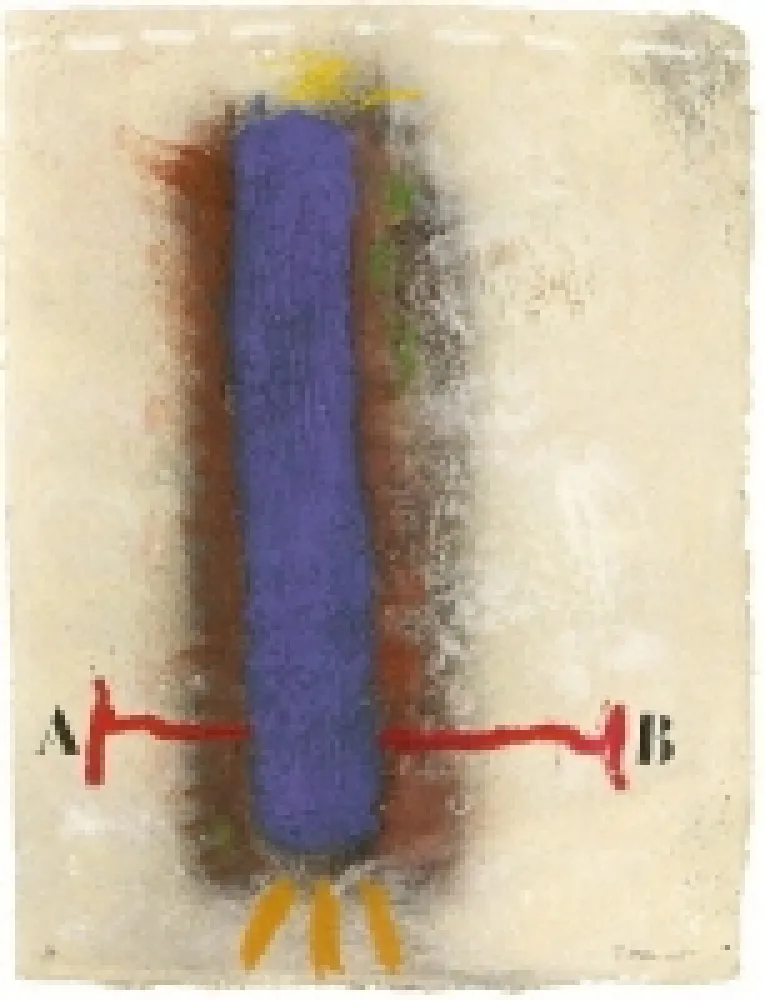 Карборунд Coignard - 1112 Verticlite Bleue