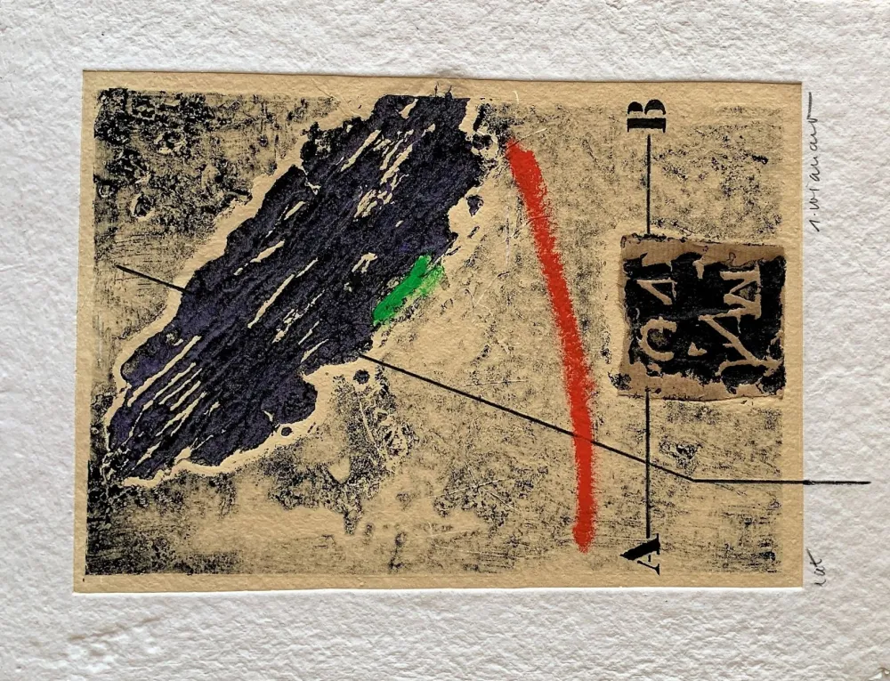 Карборунд Coignard - Pensée 